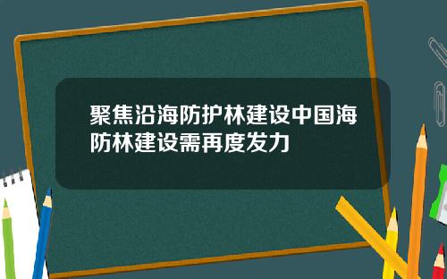 聚焦沿海防护林建设中国海防林建设需再度发力