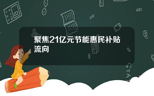 聚焦21亿元节能惠民补贴流向