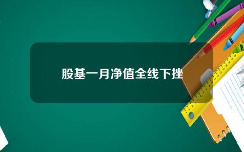 股基一月净值全线下挫