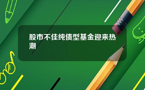 股市不佳纯债型基金迎来热潮