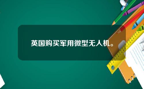 英国购买军用微型无人机。