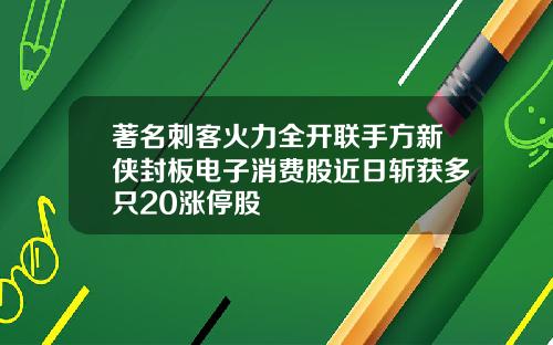 著名刺客火力全开联手方新侠封板电子消费股近日斩获多只20涨停股