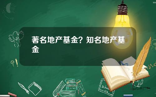 著名地产基金？知名地产基金