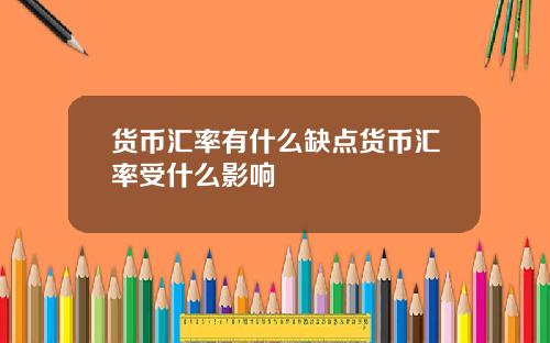 货币汇率有什么缺点货币汇率受什么影响