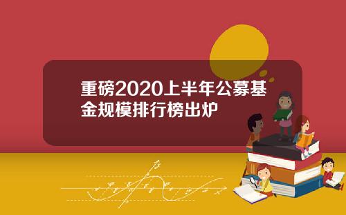 重磅2020上半年公募基金规模排行榜出炉