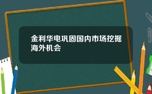金利华电巩固国内市场挖掘海外机会