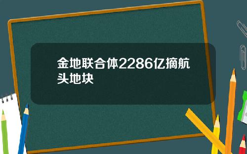 金地联合体2286亿摘航头地块