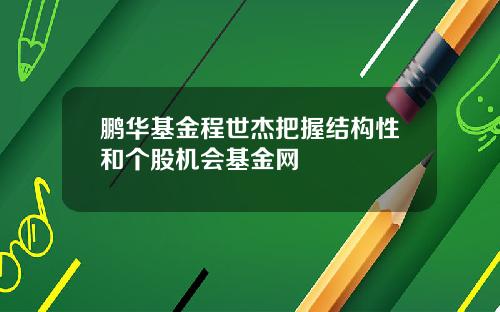 鹏华基金程世杰把握结构性和个股机会基金网