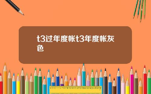 t3过年度帐t3年度帐灰色
