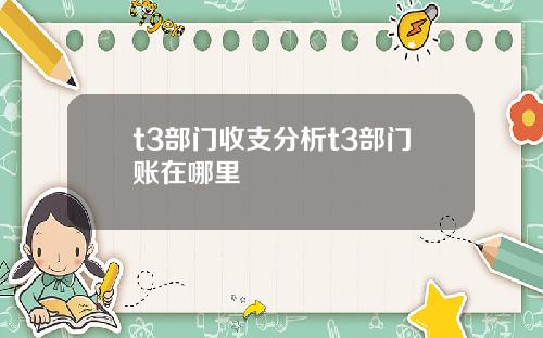 t3部门收支分析t3部门账在哪里