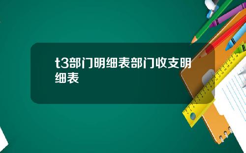 t3部门明细表部门收支明细表
