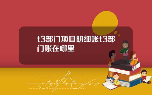 t3部门项目明细账t3部门账在哪里