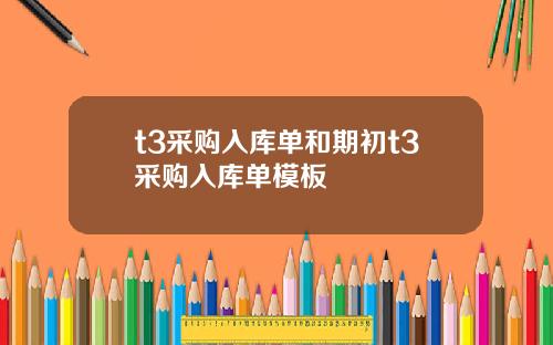 t3采购入库单和期初t3采购入库单模板