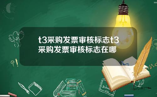 t3采购发票审核标志t3采购发票审核标志在哪