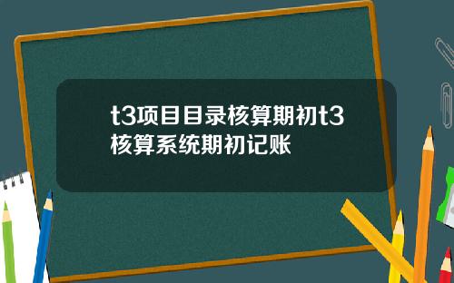 t3项目目录核算期初t3核算系统期初记账
