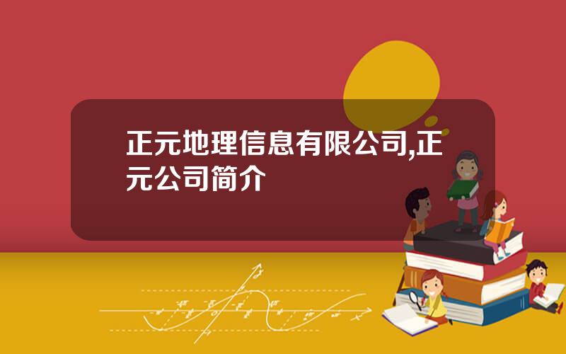 正元地理信息有限公司,正元公司简介