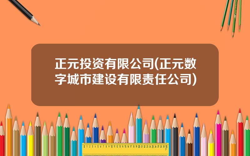 正元投资有限公司(正元数字城市建设有限责任公司)