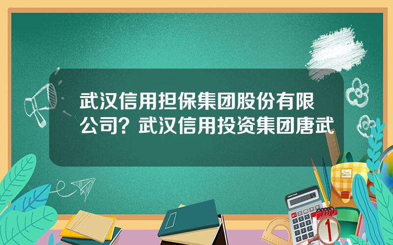 武汉信用担保集团股份有限公司？武汉信用投资集团唐武