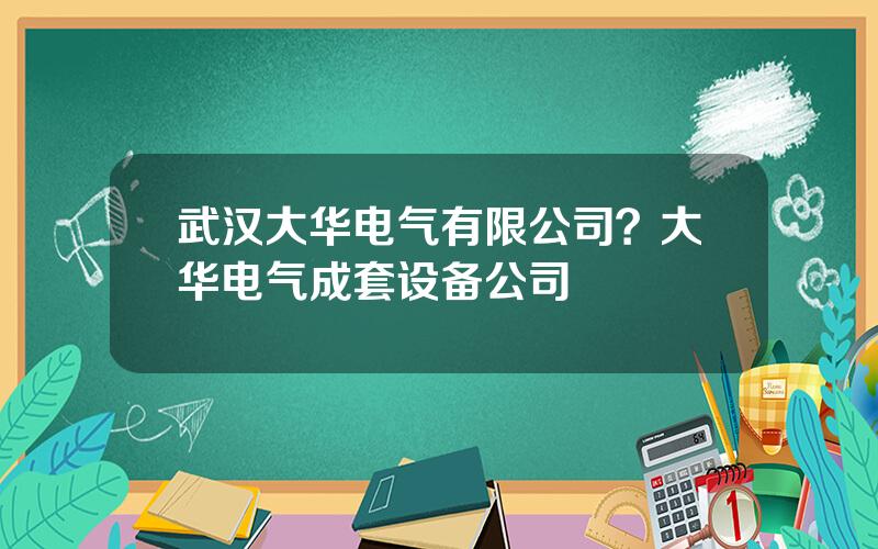 武汉大华电气有限公司？大华电气成套设备公司