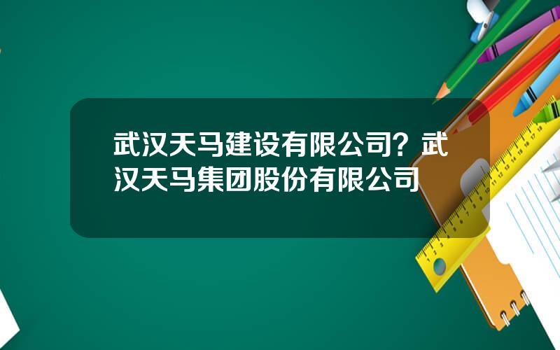 武汉天马建设有限公司？武汉天马集团股份有限公司