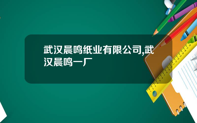 武汉晨鸣纸业有限公司,武汉晨鸣一厂