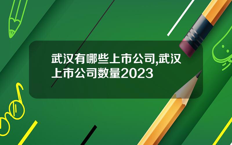 武汉有哪些上市公司,武汉上市公司数量2023