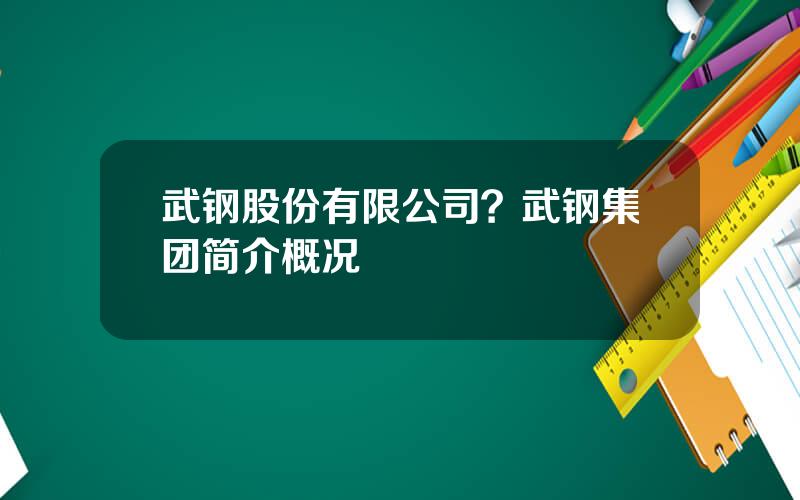 武钢股份有限公司？武钢集团简介概况