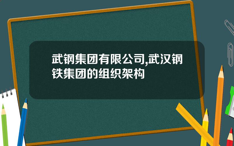 武钢集团有限公司,武汉钢铁集团的组织架构