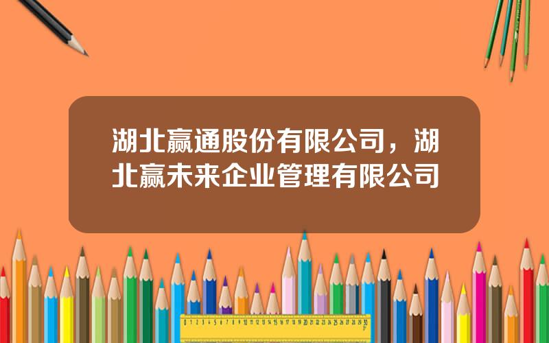 湖北赢通股份有限公司，湖北赢未来企业管理有限公司