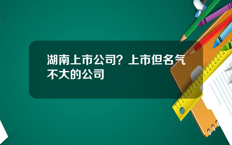 湖南上市公司？上市但名气不大的公司