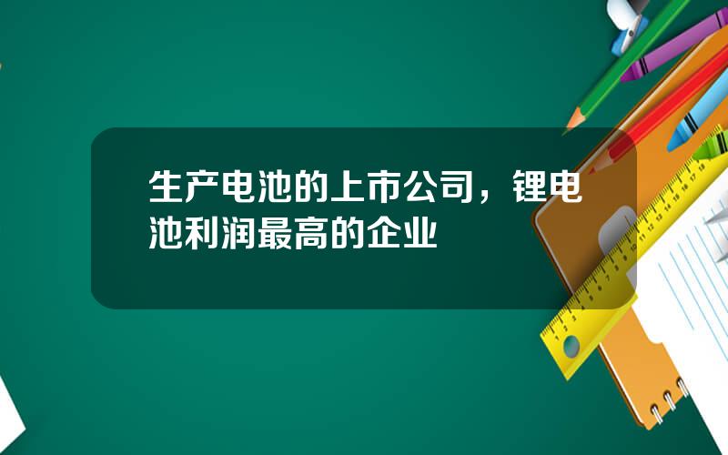 生产电池的上市公司，锂电池利润最高的企业