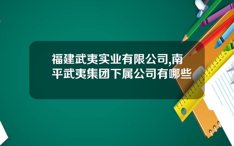 福建武夷实业有限公司,南平武夷集团下属公司有哪些