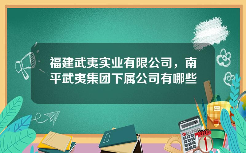 福建武夷实业有限公司，南平武夷集团下属公司有哪些