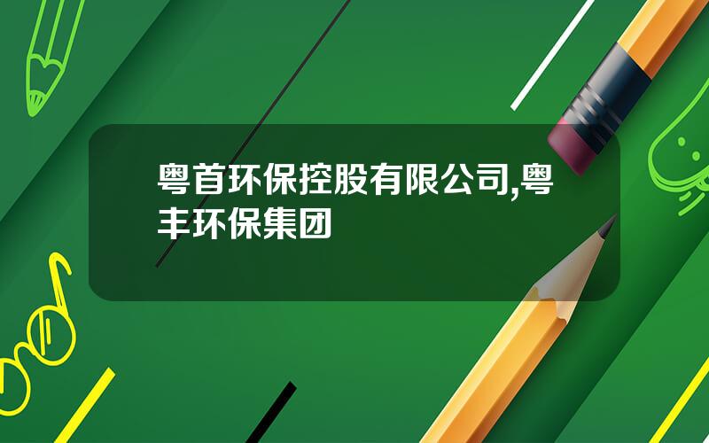 粤首环保控股有限公司,粤丰环保集团