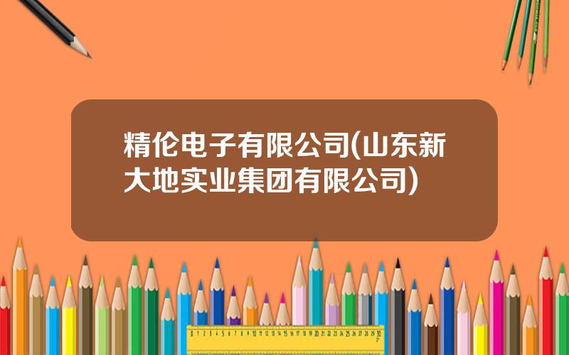 精伦电子有限公司(山东新大地实业集团有限公司)