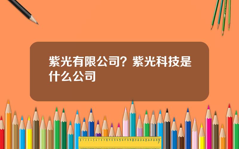 紫光有限公司？紫光科技是什么公司