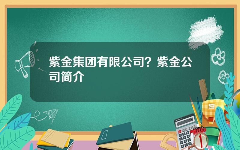 紫金集团有限公司？紫金公司简介