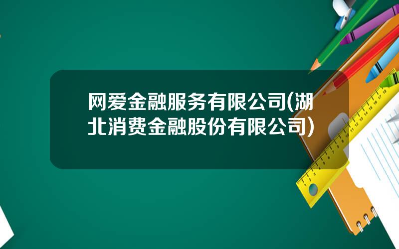 网爱金融服务有限公司(湖北消费金融股份有限公司)