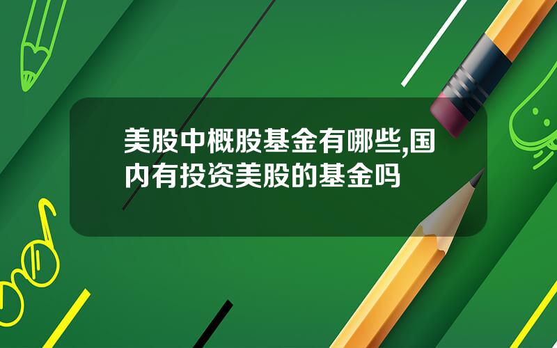 美股中概股基金有哪些,国内有投资美股的基金吗