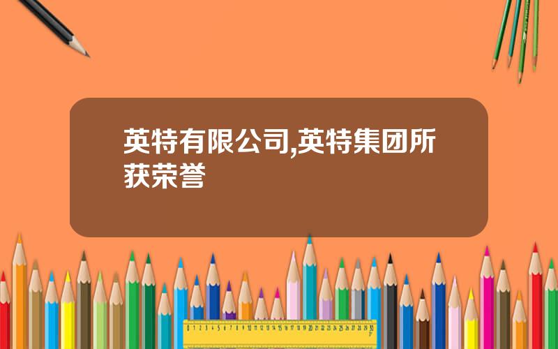 英特有限公司,英特集团所获荣誉
