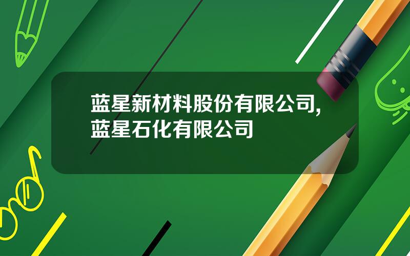 蓝星新材料股份有限公司,蓝星石化有限公司