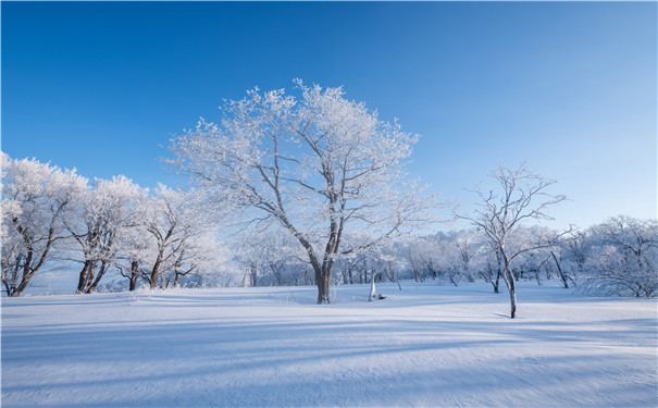 滑雪可以买保险吗-众安全民冰雪运动意外险怎么样-值得买吗-_1